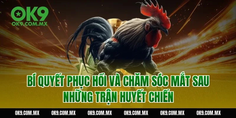 Bí quyết phục hồi và chăm sóc mắt sau những trận huyết chiến