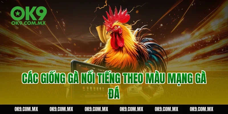 Các giống gà nổi tiếng theo màu mạng gà đá