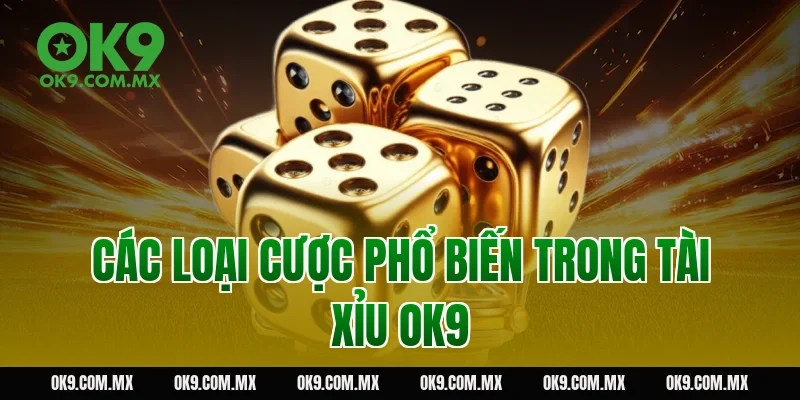 Các loại cược phổ biến trong tài xỉu OK9