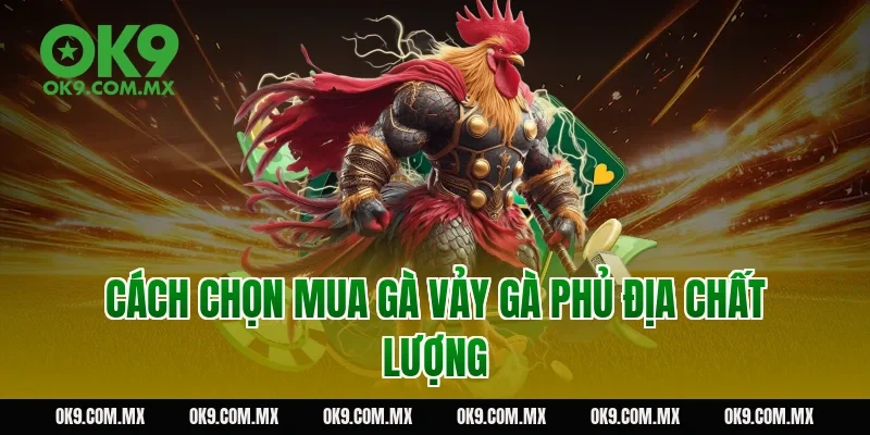 Cách chọn mua gà vảy gà phủ địa chất lượng