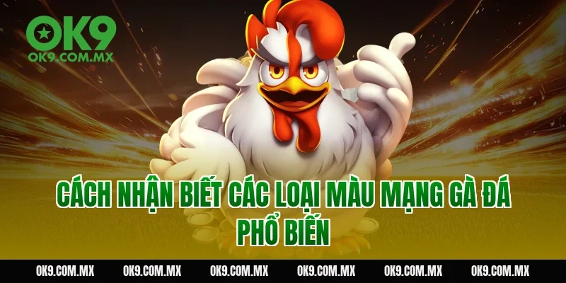 Cách nhận biết các loại màu mạng gà đá phổ biến