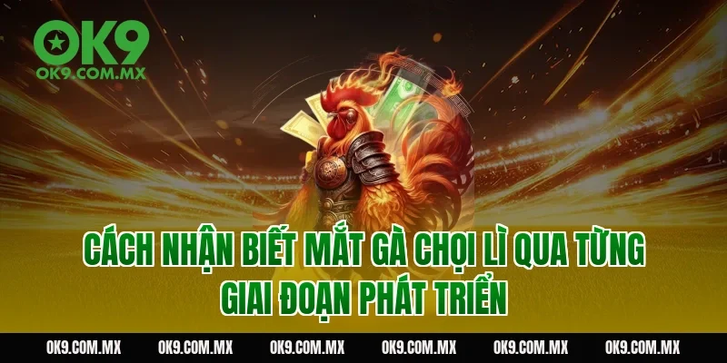 Cách nhận biết mắt gà chọi lì qua từng giai đoạn phát triển