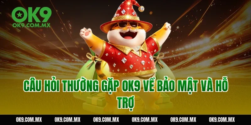 Câu hỏi thường gặp OK9 về bảo mật và hỗ trợ