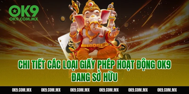 Chi tiết các loại giấy phép hoạt động OK9 đang sở hữu