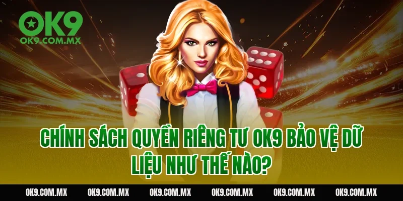 Chính sách quyền riêng tư OK9 bảo vệ dữ liệu như thế nào?