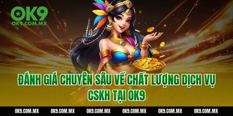 Đánh giá chuyên sâu về chất lượng dịch vụ CSKH tại OK9