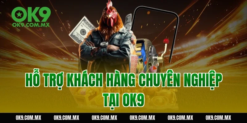Hỗ Trợ Khách Hàng Chuyên Nghiệp Tại OK9