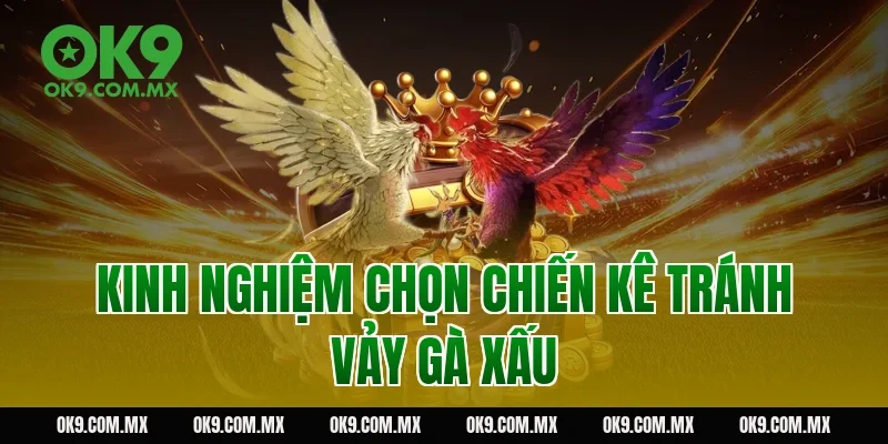 Kinh nghiệm chọn chiến kê tránh vảy gà xấu