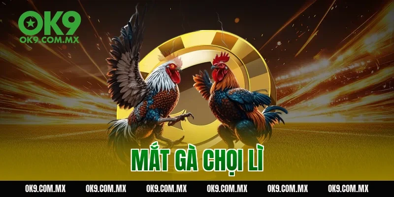mắt gà chọi lì