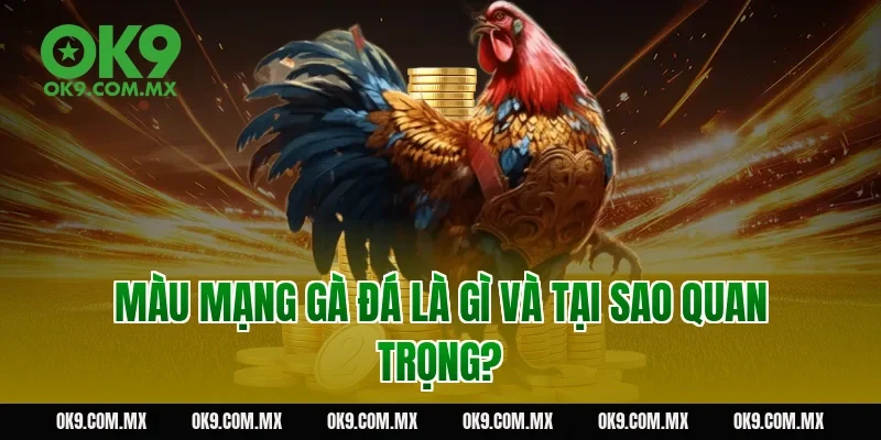 Màu mạng gà đá là gì và tại sao quan trọng?