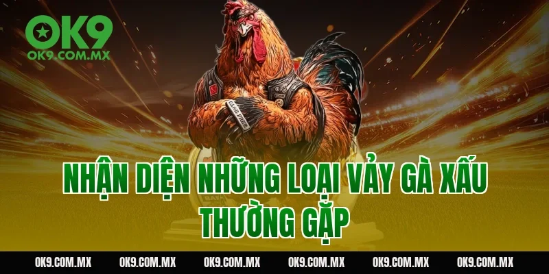 Nhận diện những loại vảy gà xấu thường gặp