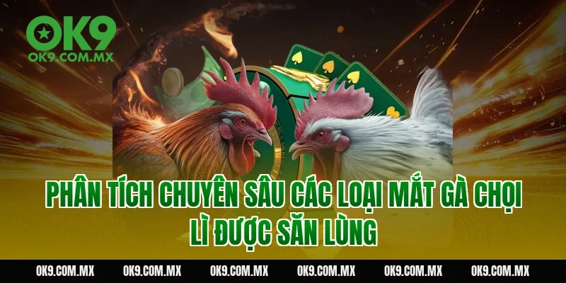 Phân tích chuyên sâu các loại mắt gà chọi lì được săn lùng