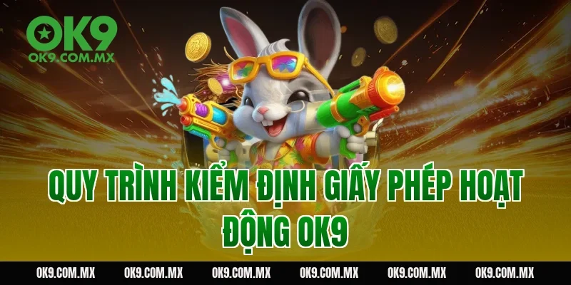 Quy trình kiểm định giấy phép hoạt động OK9