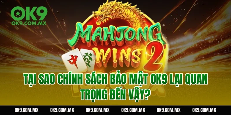 Tại sao chính sách bảo mật OK9 lại quan trọng đến vậy?