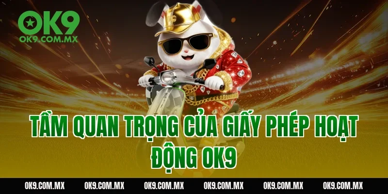 Tầm quan trọng của giấy phép hoạt động OK9