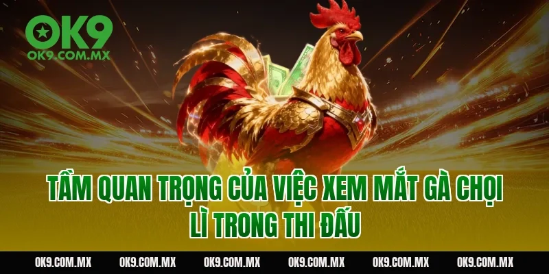 Tầm quan trọng của việc xem mắt gà chọi lì trong thi đấu