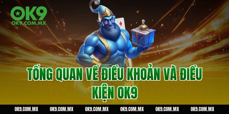 Tổng quan về điều khoản và điều kiện OK9