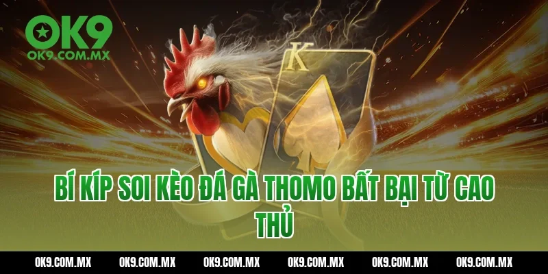Bí kíp soi kèo Đá gà thomo bất bại từ cao thủ