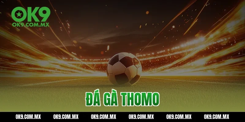 Đá gà thomo
