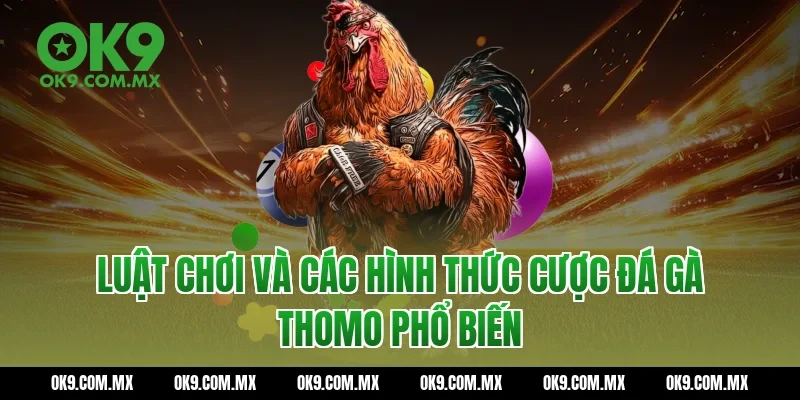 Luật chơi và các hình thức cược Đá gà thomo phổ biến