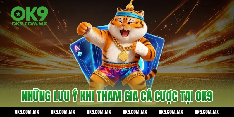 Những lưu ý khi tham gia cá cược tại OK9